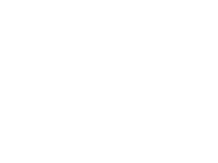 Westport Village